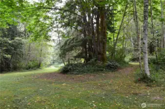 You are now in the cleared building area. Gorgeous!