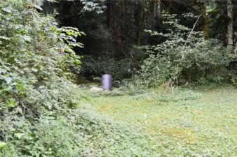 Here is the shared well.