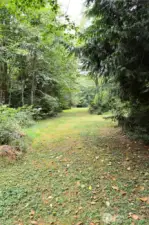 There are many refreshing, open grassy areas on this property as above . . .