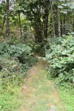 Here is yet another property trail.