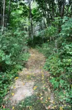 The trail continues.