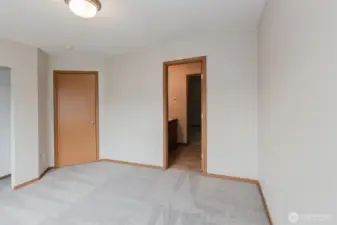 Bedroom with walk-in closet access.