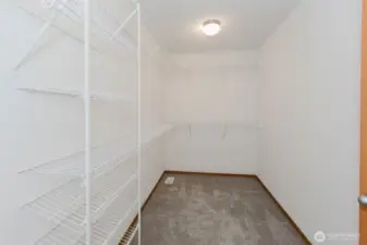 Generous walk-in closet with built-ins.