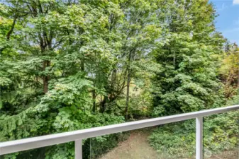 Super Private Greenbelt view