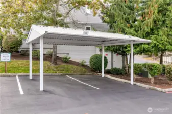 Designated Carport