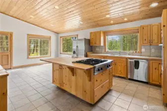 Island with drop-in Wolf Range