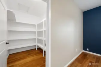 Bedroom #3 with its own walk in closet.