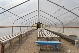 Smaller Green House