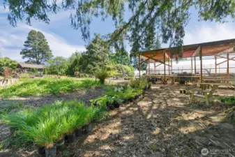 Shade Pergola for Shade Plants