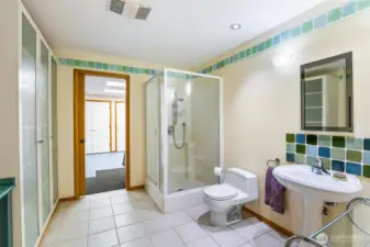 Basement 3/4 bathroom