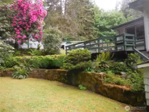 Back Deck, Check out the Rhodies all over this property- Huge and colorful May Bloom