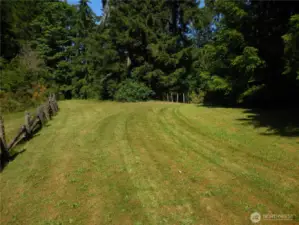Yes, More Pasture!!