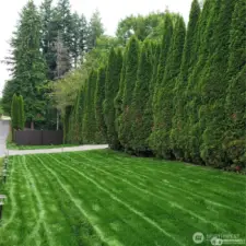 View of the front well-maintained grounds with mature trees, offering a peaceful and private setting.