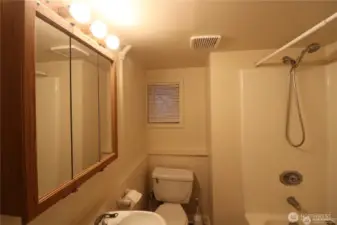 Lower level full-bathroom.