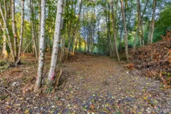 Selectively cleared so that you can walk the properties and see the views of Port Orchard Bay and Olympic Mountains. Incredible Sunsets !!