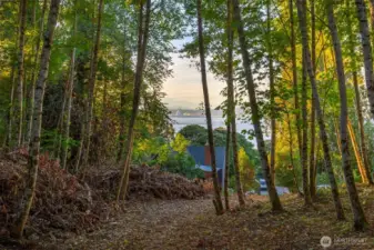 Once the trees are removed from the .75 AC lot... the view will be incredible!