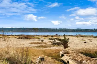 A beautiful spot to enjoy beachcombing, lounging, bird-watching, cold-plunging or ...