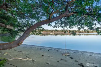 Private Neighborhood Beach