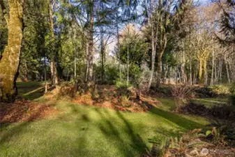 Beautiful Wooded 1+ Acre Lot
