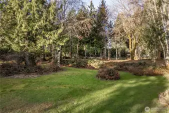 Beautiful Wooded 1+ Acre Lot