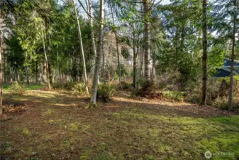 Beautiful Wooded 1+ Acre Lot