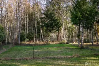 Huge Fenced Garden Area
