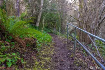Trail to the Private Neighborhood Beach