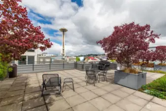 Rooftop deck with Space Needle view