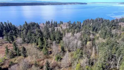Aerial View of Area