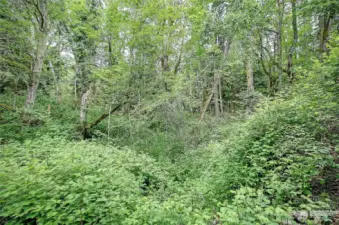 Street View off road connecting to Amber View (no name)