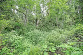 Street View off road connecting to Amber View (no name)