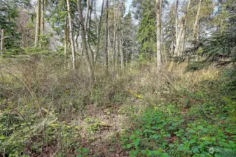 Street View off road connecting to Amber View (no name)