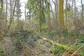 Street View off road connecting to Amber View (no name)