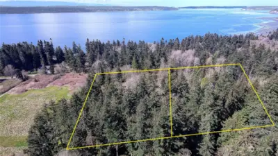 Aerial View of Area
