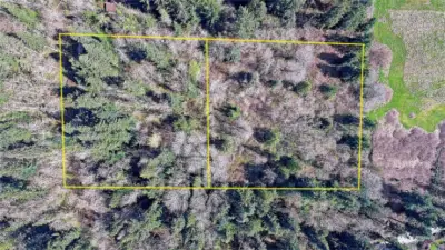 Aerial View of Area