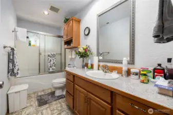 Guest bathroom