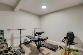 Bonus room in basement