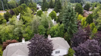 Townhouse is surrounded by lush greenery. Location is so perfect on the grounds of Park North.