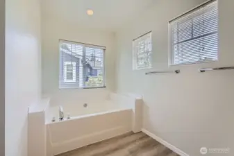 Primary Bath Soaking Tub