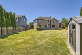 Massive fenced backyard