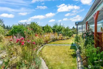 Lovely garden view with many varieties of plants and trees