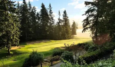 Port Ludlow Golf and trails