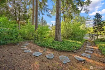 Peaceful stroll through lush greenery