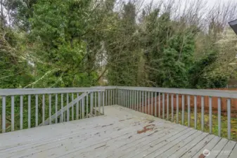 A back deck extends from the main level, with steps leading directly down to the backyard for easy outdoor access