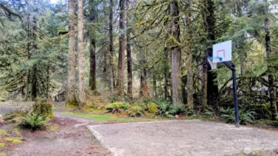 1/2 Court Basketball