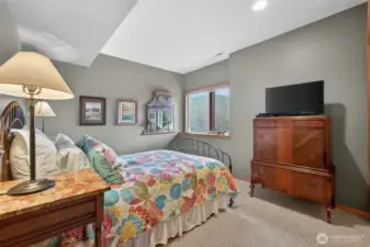 Lower Level Guest Bedroom