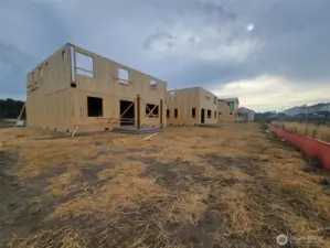 large back yard