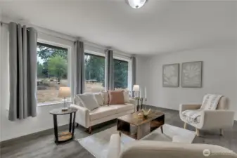 living room great size
