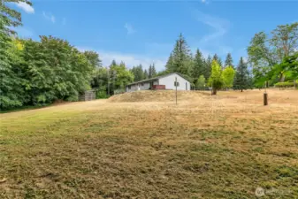 Back left corner of yard.