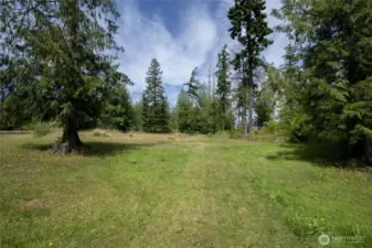 Beautiful 5 acres
